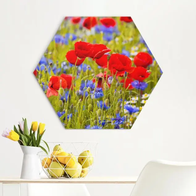Abverkauf Sommerwiese mit Mohn und Kornblumen Hexagon-Alu-Dibond Bild