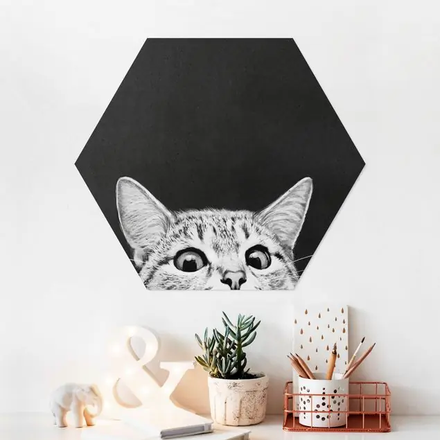 Wochenendangebot Illustration Katze Schwarz Weiß Zeichnung                               Hexagon-Forexbild