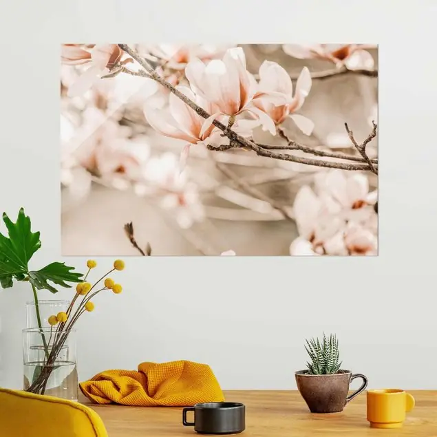 Aktuell Magnolienzweige im Vintagestil Glasbild