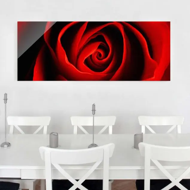 Liebliche Rose Glasbild - Panorama Preisreduziert