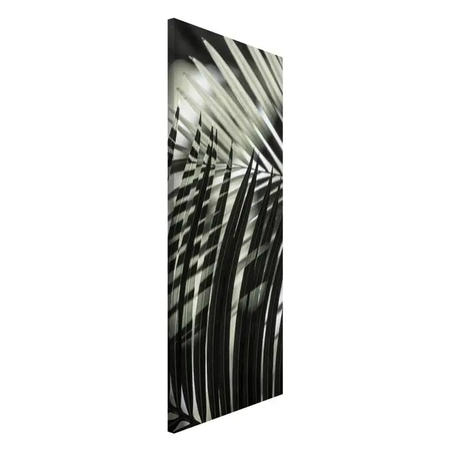 Schattenspiel auf Palmenwedel Magnettafel Nur Für Kurze Zeit