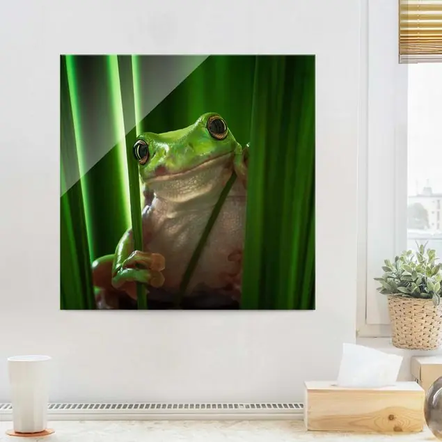 Preis Gesenkt Fröhlicher Frosch Glasbild - Quadrat