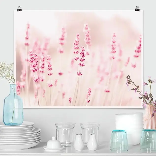 Zartrosaner Lavendel Poster Beliebt