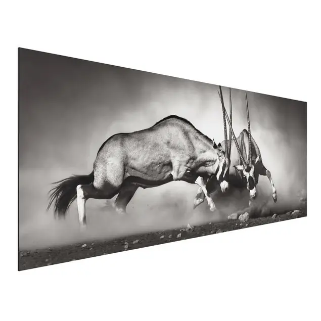 Markenprodukt Wilder Kampf Alu-Dibond Outdoor Bild
