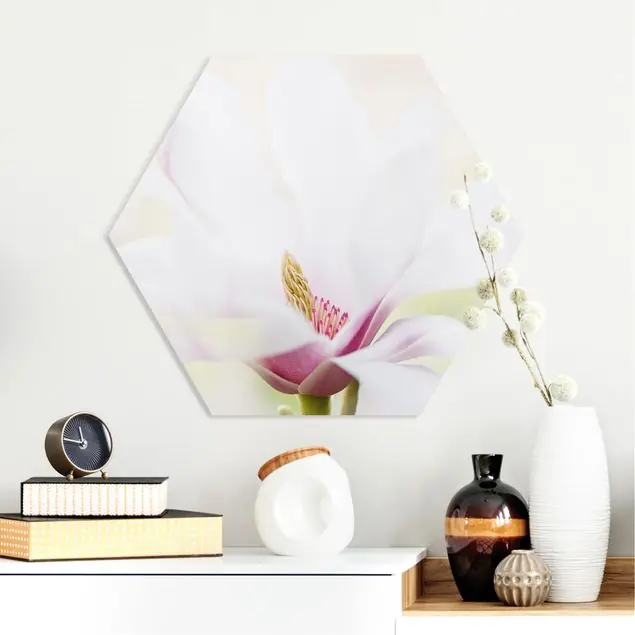 Zarte Magnolienblüte                               Hexagon-Forexbild Neue Kollektion