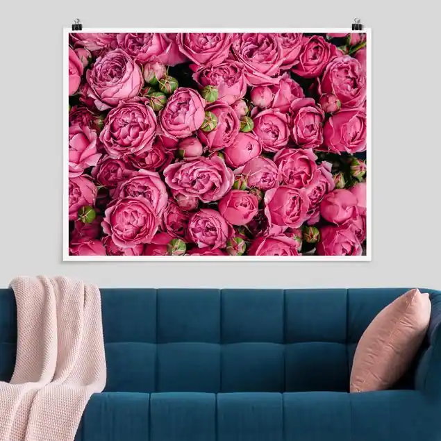Pinke Pfingstrosen Poster - Querformat Kostenloser Versand