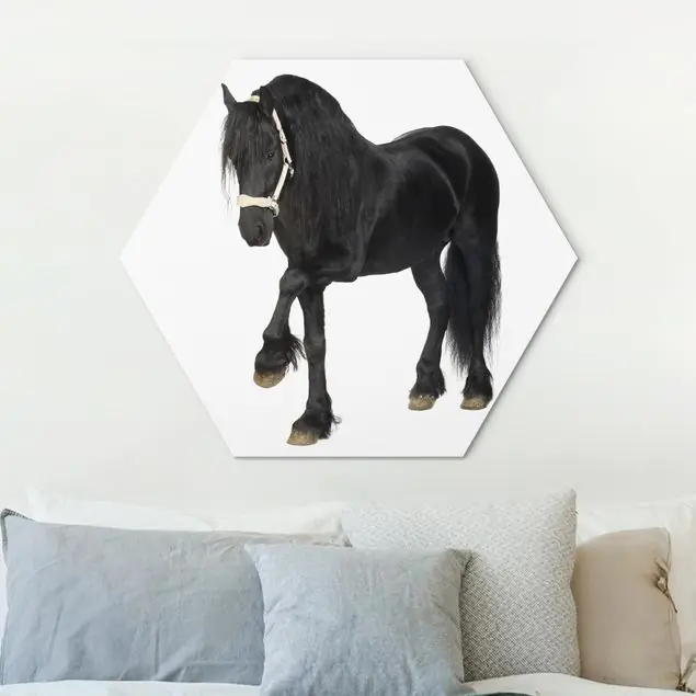 Friesenstute Hexagon-Alu-Dibond Bild Highlight