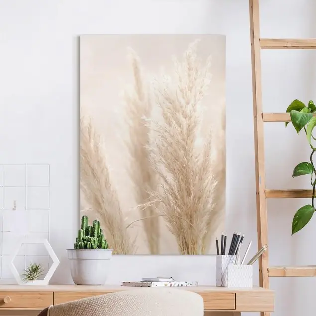 Pampasgras im Sonnenlicht Leinwandbild • hergestellt in Deutschland • langlebiges Canvas mit Holzkeilrahmen • klassische Struktur Mega-Angebot