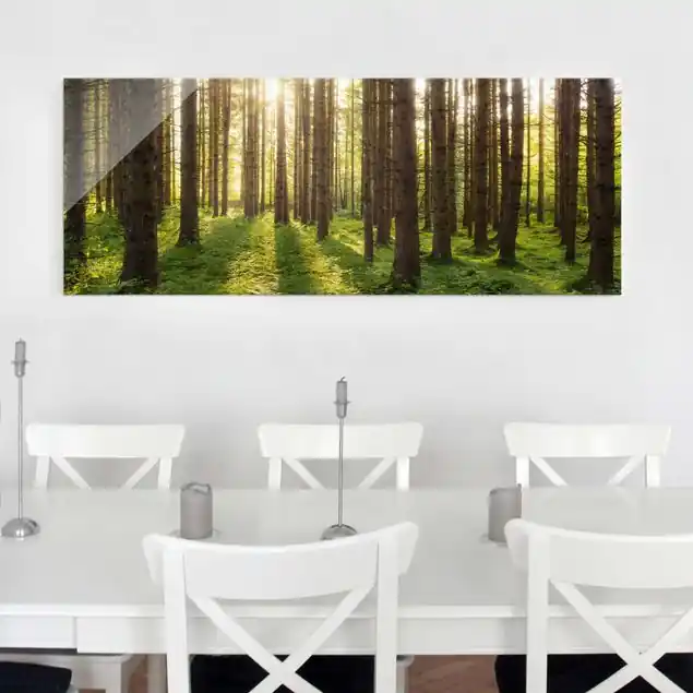 Sonnenstrahlen in grünem Wald Glasbild - Panorama Jetzt Kaufen