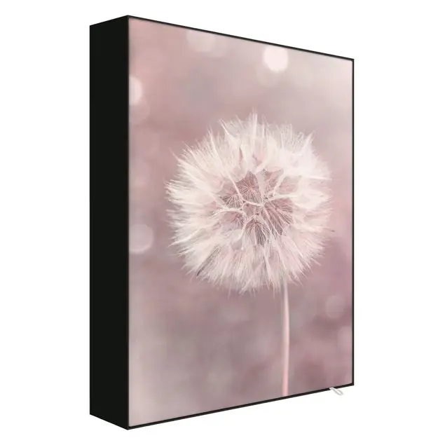 Pusteblume Bokeh rosa Akustik-Wechselbild Top-Angebot