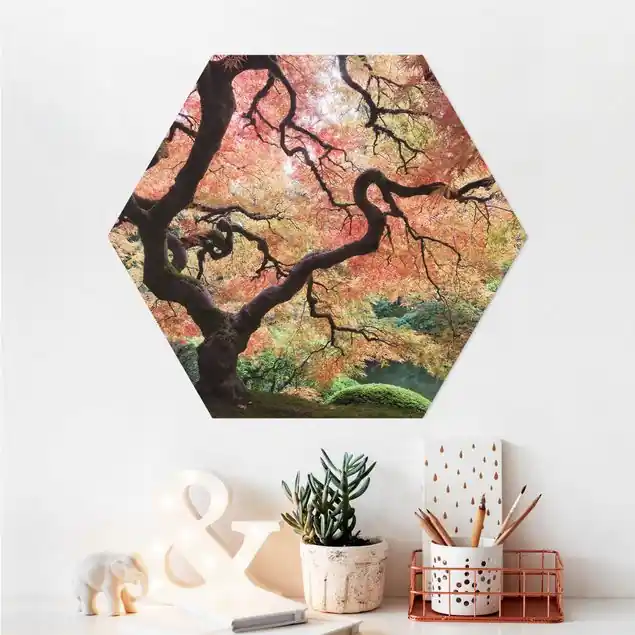 Japanischer Garten Hexagon-Alu-Dibond Bild Kracherpreis