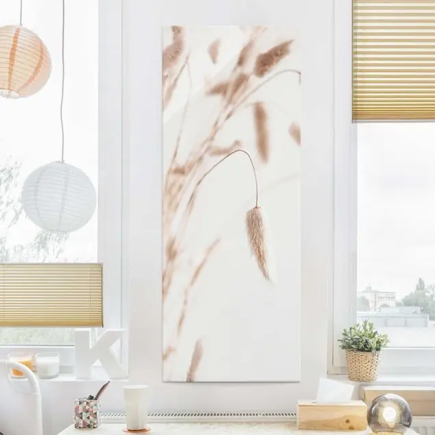 Direkt Vom Hersteller Zartes Glanzgras Glasbild