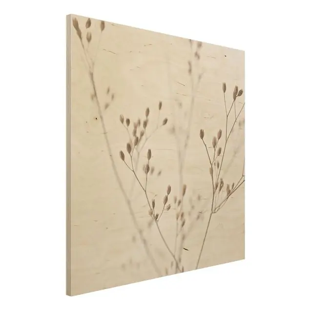 Zarte Knospen am Wildblumenzweig                               Holzbild Preisreduziert