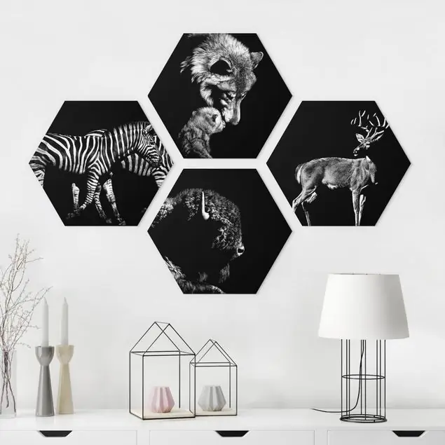 Wildtiere vor Schwarz Set II 4-teiliges Hexagon-Forexbild Finale Aktion