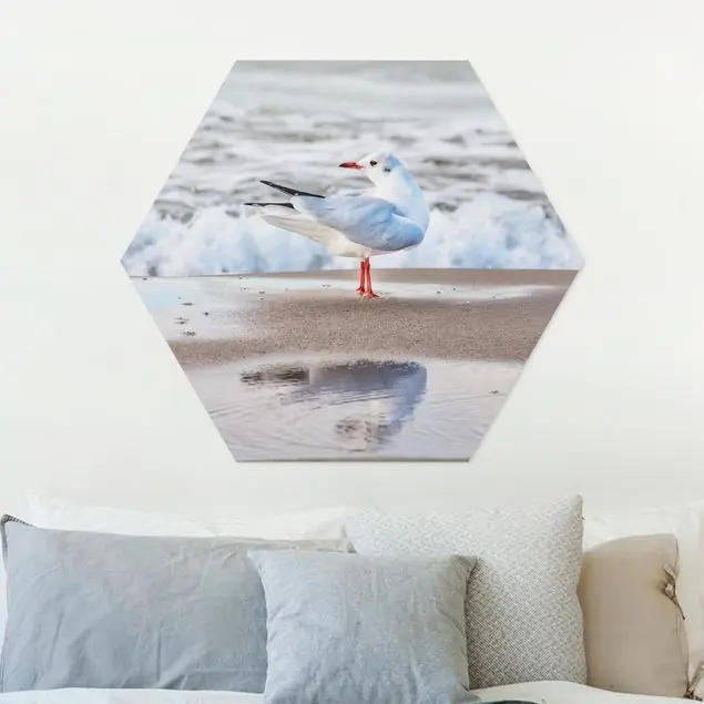 Sichere Zahlung Möwe am Strand vor Meer Hexagon-Forexbild