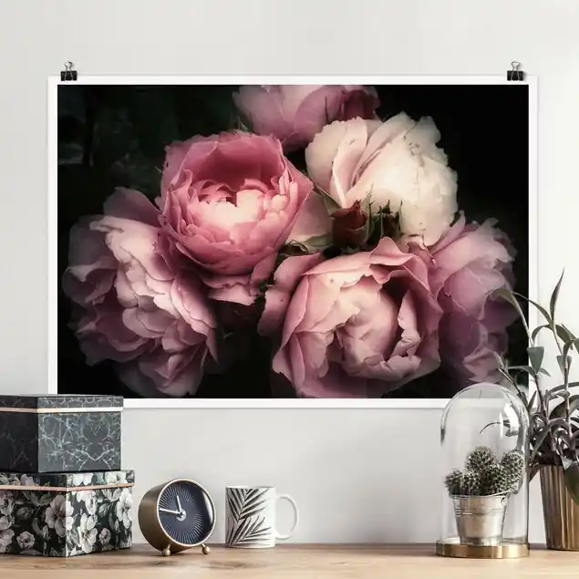 Pfingstrosen vor Schwarz Shabby Poster - Querformat Sale