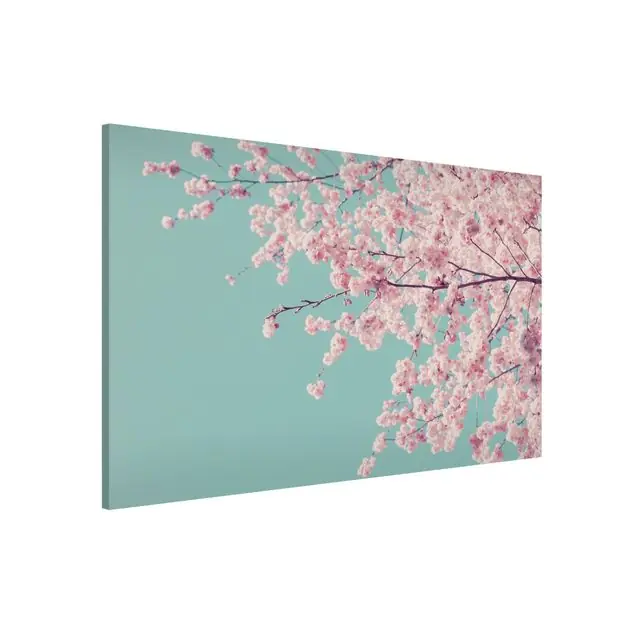 Jetzt Kaufen Japanische Kirschblüte Magnettafel