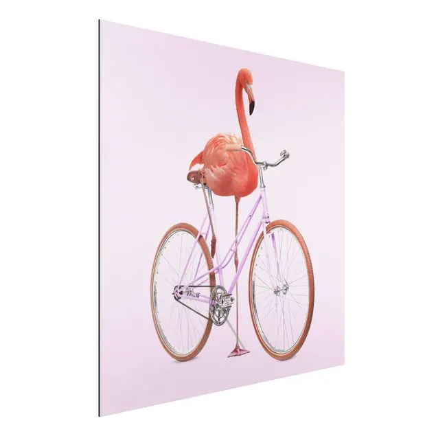 Preis Gesenkt Flamingo mit Fahrrad Alu-Dibond Outdoor Bild