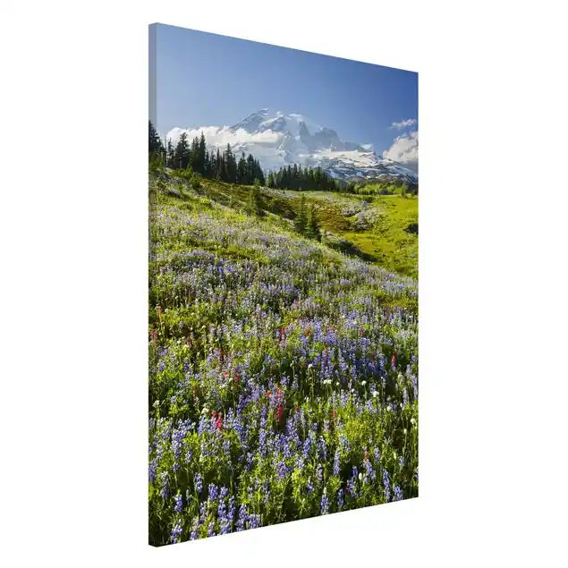 Angebot Bergwiese mit roten Blumen vor Mt. Rainier Magnettafel - Hochformat 2:3