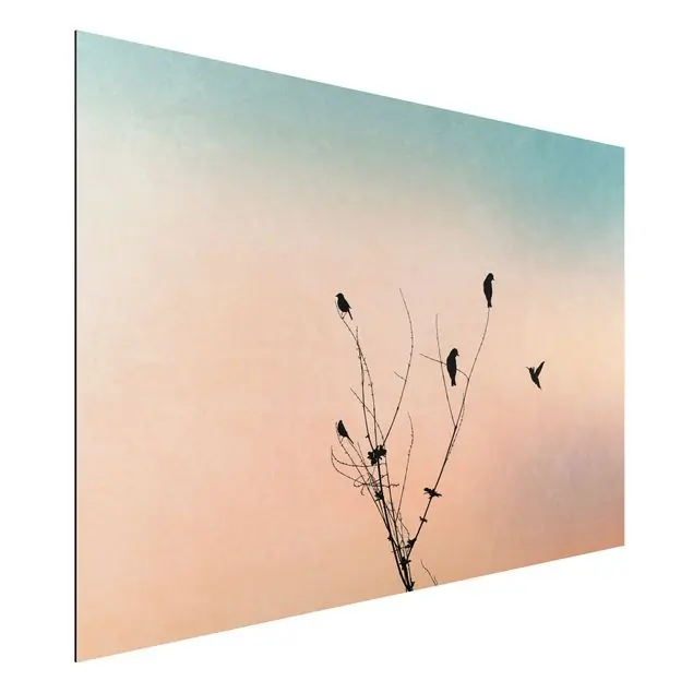 Preisknaller Vögel vor rosa Sonne II Alu-Dibond Outdoor Bild