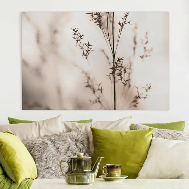 Jetzt Bestellen Elegantes Gras im Schatten Leinwandbild • hergestellt in Deutschland • langlebiges Canvas mit Holzkeilrahmen • klassische Struktur