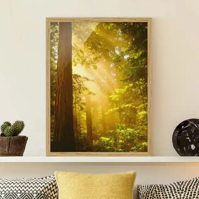 Morgengold Bild mit Rahmen in Manufakturqualität • Eiche naturbelassen • inkl. Rahmung von Hand • Made in Germany Gratis Versand