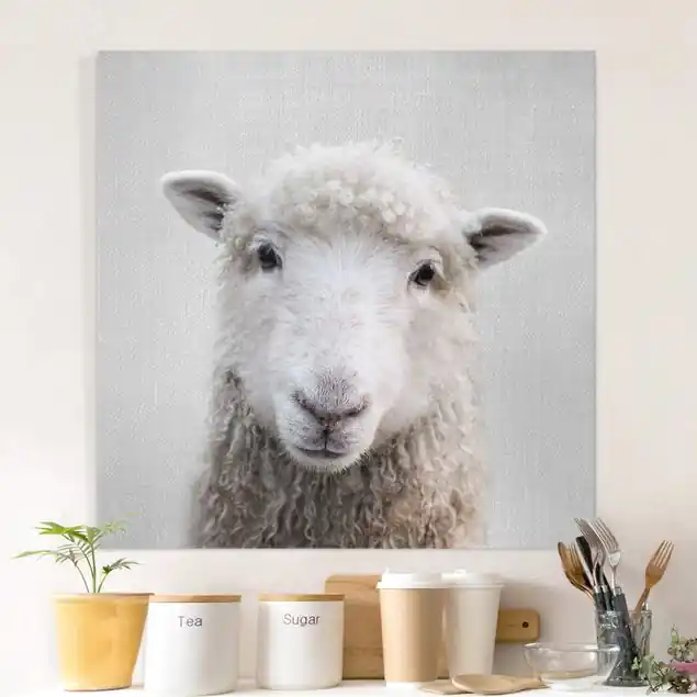 Schaf Steffi Leinwandbild • hergestellt in Deutschland • langlebiges Canvas mit Holzkeilrahmen • klassische Struktur Kracherpreis