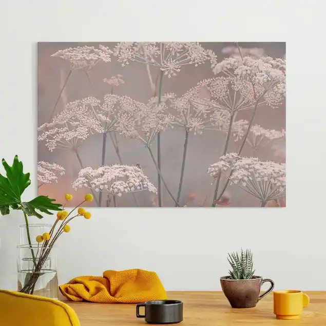Wilde Doldenblüten Leinwandbild • hergestellt in Deutschland • langlebiges Canvas mit Holzkeilrahmen • klassische Struktur Top-Seller