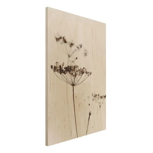 Abverkauf Trockenblume im Schatten                               Holzbild