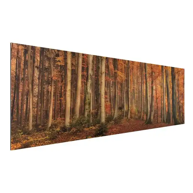 Herbstspaziergang Alu-Dibond Outdoor Bild Super-Preis