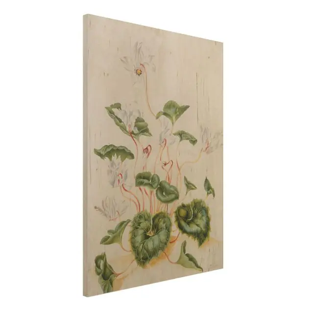 Anna Maria Sibylla Merian - Weiße Veilchen Holzbild - Hochformat 3:4 Must-Have