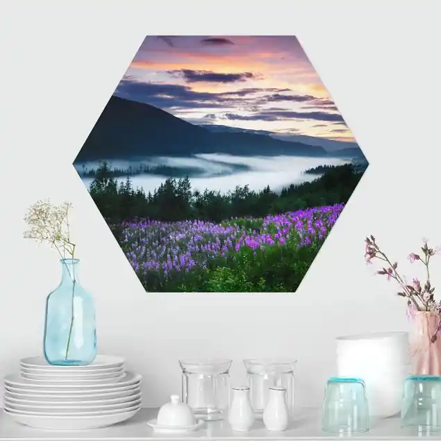 Bestpreis Paradiesisches Tal in Norwegen Hexagon-Alu-Dibond Bild