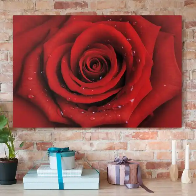 Heißes Angebot Rote Rose mit Wassertropfen Leinwandbild • hergestellt in Deutschland • langlebiges Canvas mit Holzkeilrahmen • klassische Struktur
