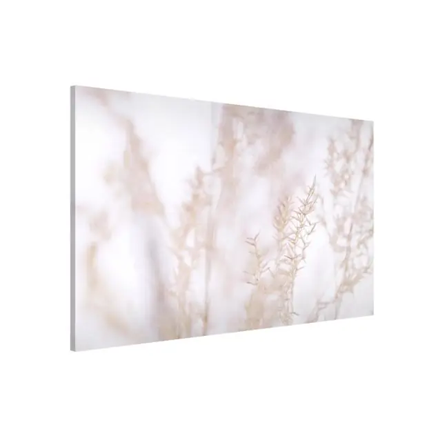 Must-Have Zartes Wiesengras Close Up Magnettafel