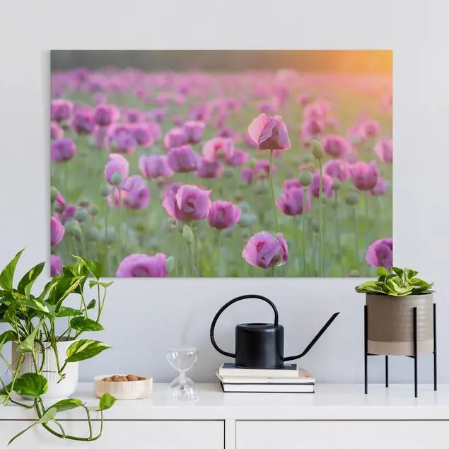 Violette Schlafmohn Blumenwiese im Frühling Leinwandbild • hergestellt in Deutschland • langlebiges Canvas mit Holzkeilrahmen • klassische Struktur Preis Gesenkt