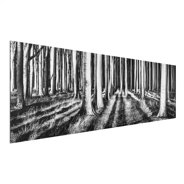 Geisterwald Alu-Dibond Outdoor Bild Neu