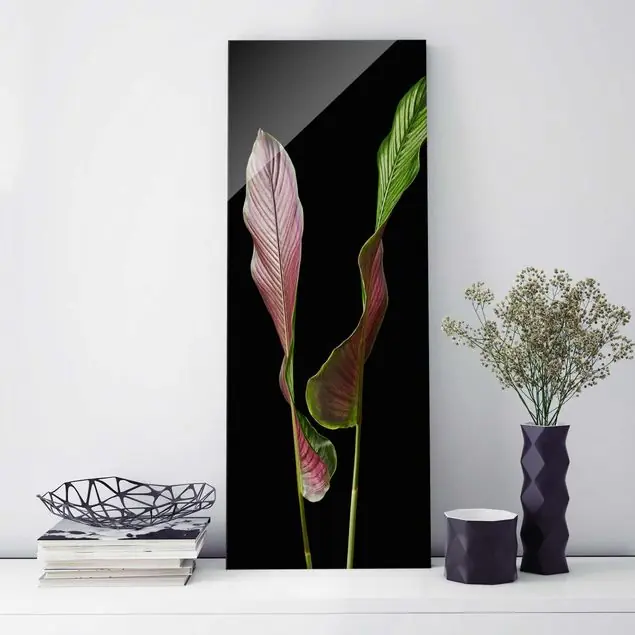 Blatt Calathea-ornata auf Schwarz 02 Glasbild - Hochformat Sonderangebot