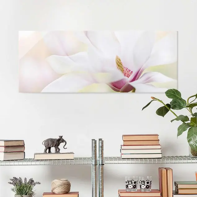 Zarte Magnolienblüte                               Glasbild - Panorama Kostenloser Versand
