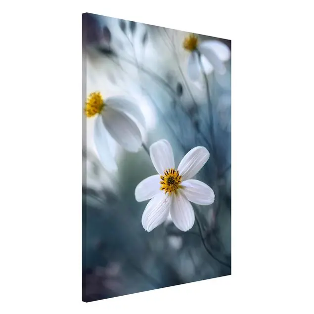 Kosmeen in Pastell Magnettafel - Hochformat 2:3 Top-Angebot