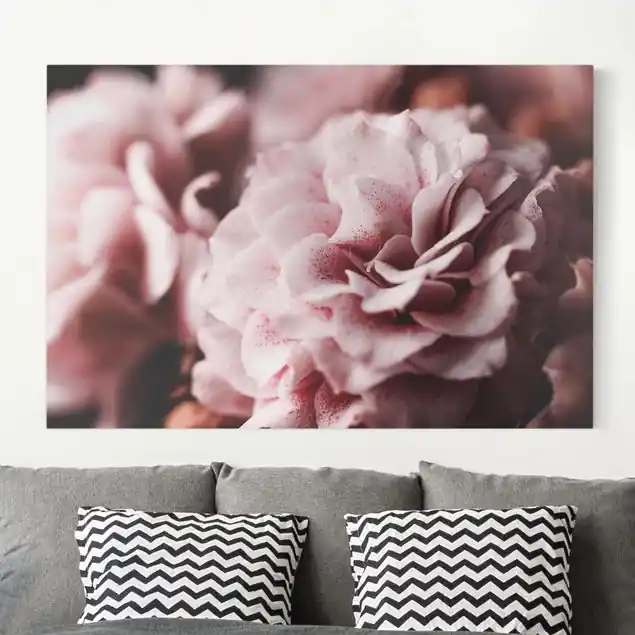 Schneller Versand Shabby Rosa Rose Pastell Leinwandbild • hergestellt in Deutschland • langlebiges Canvas mit Holzkeilrahmen • klassische Struktur