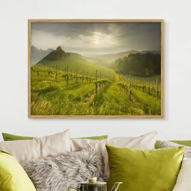 Sonnenstrahlen Weinberg Bild mit Rahmen in Manufakturqualität • Eiche naturbelassen • inkl. Rahmung von Hand • Made in Germany Preis Gesenkt