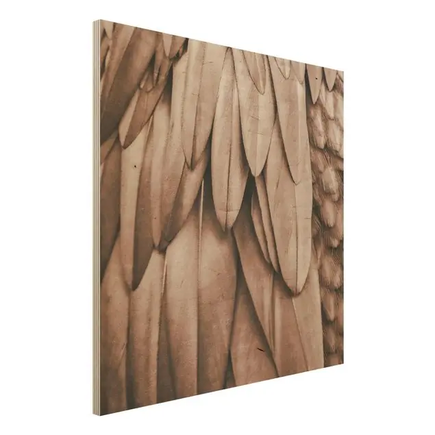 Federn in Rosegold Holzbild Solange Der Vorrat Reicht