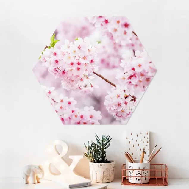 Bestseller Japanische Kirschblüten Hexagon-Forexbild