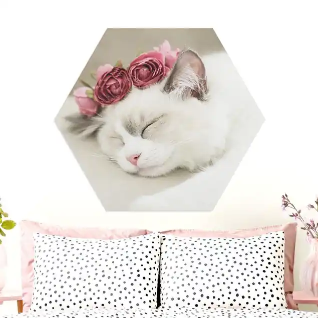 Online Kaufen Schlafende Katze mit Rosen Hexagon-Forexbild