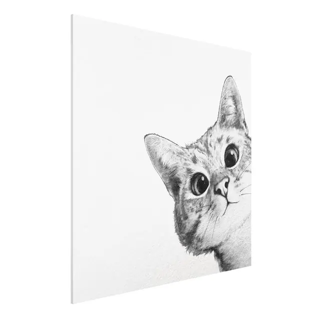 Aktuell Illustration Katze Zeichnung Schwarz Weiß                               Forexbild - Quadrat