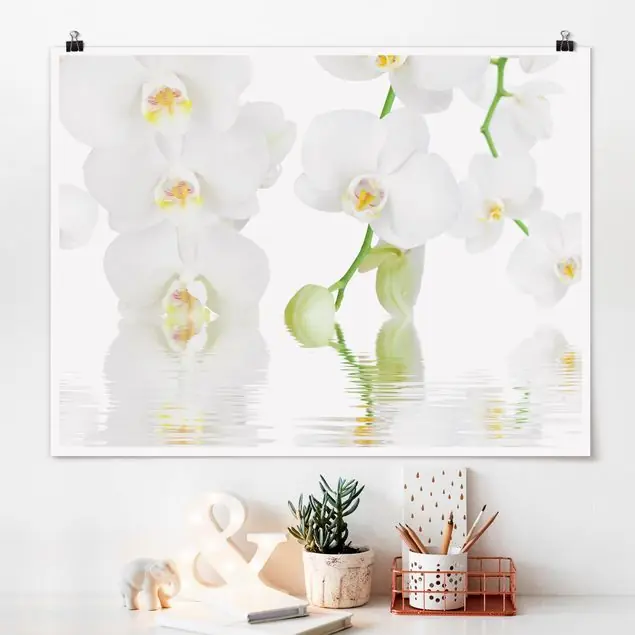 Meistverkauft Wellness Orchidee - Weiße Orchidee Poster - Querformat