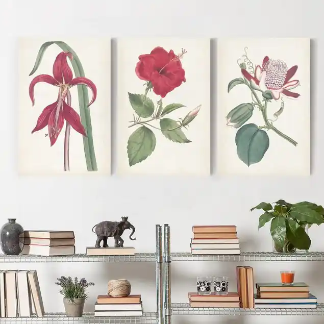 Gartenschönheit Set I 3-teiliges Leinwandbild - Hochformat Jetzt Bestellen