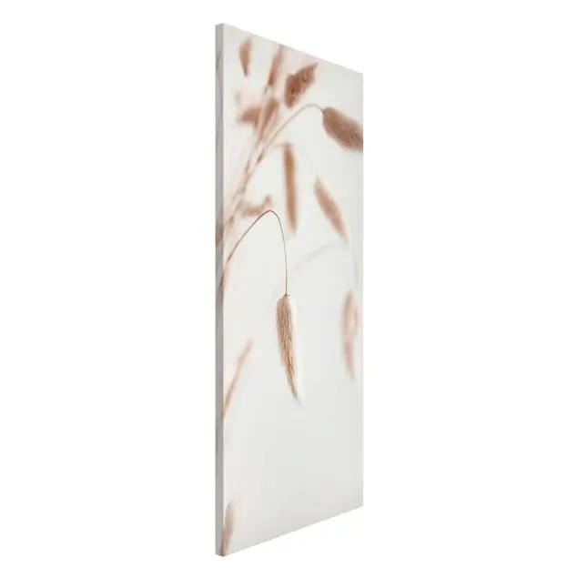 Zartes Glanzgras                               Magnettafel Preiswert