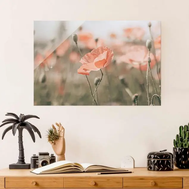 Direkt Vom Hersteller Sonnengeküsste Mohnfelder Glasbild
