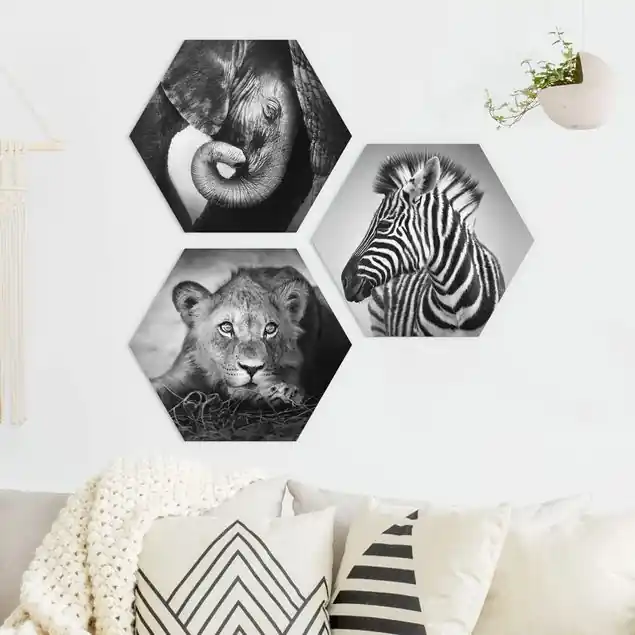 Babytiere 3-teiliges Hexagon-Forexbild Sofort Bestellen